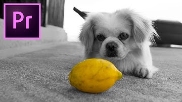 make COLORS POP in your Videos using Premiere Pro