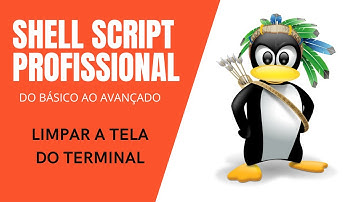 Shell Script profissional Mod.1 #2 - Clear, Reset, Ctrl + L: Limpar a tela do terminal