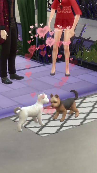 How to have puppies in The Sims 4