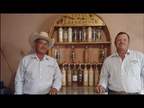 Grupo de Sotoleros El Potrero del Llano, Chihuahua