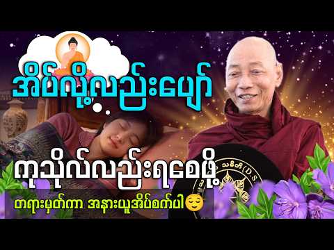 အိပ်လို့လည်းပျော် ကုသိုလ်လည်းရစေဖို့ တရားမှတ်ကာ အနားယူအိပ်စက်ပါ😌🙏💤 #ပါချုပ်ဆရာတော် 