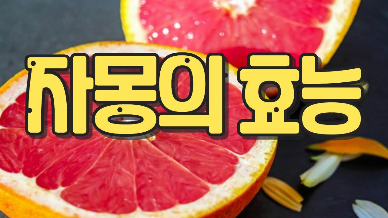 식이섬유가 풍부한 자몽! 다이어트에 탁월한 식품! - YouTube
