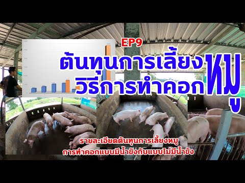 ต้นทุนการเลี้ยงหมูและวิธีการทำคอกหมู EP9