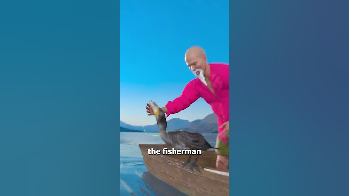 How Fishermen Use Birds To Catch Fish😯
