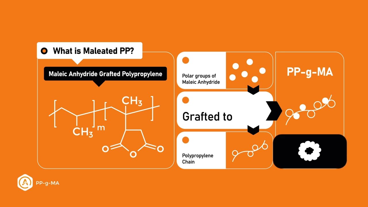 Grafted Polypropylene with maleic anhydride
