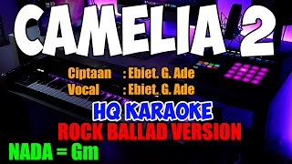 Camelia 2 Rock Ballad Version Karaoke Keyboard Korg Pa1000
