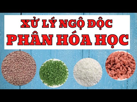 Video: Bỏng do Phân bón là gì: Cách Xử lý Bỏng do Phân bón