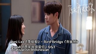 Juni Lee (李俊毅) – Bird Bridge (朱雀桥) Lyrics INDO Crush《原来我很爱你》OST