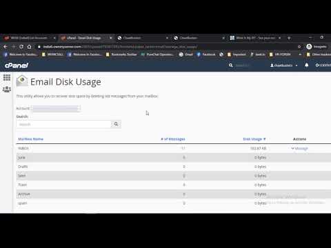 How To Check Email Disk Usage in cPanel