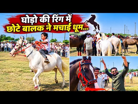 जब पशु मेले की घोड़ा प्रतियोगिता में घुसा नन्हा घुड़सवार, पाबोलाव हनुमान पशु मेला, जसवंतगढ़
