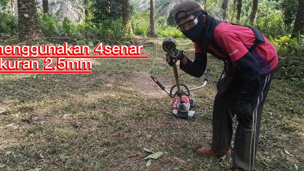 4senar ukuran 2,5mm menggunakan mesin 43cc #lawnmowingbusiness #automobile 