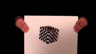 Plavayuschij Kub Obman Zreniya 480