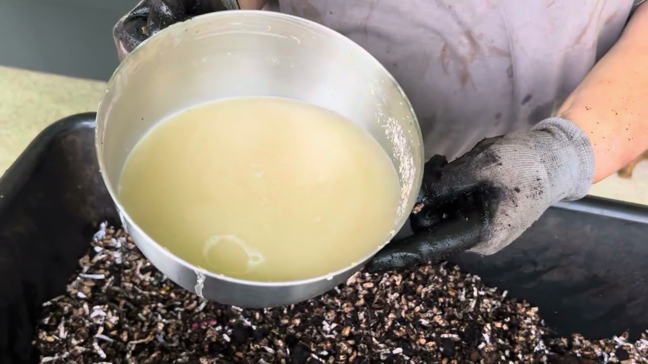 Making Pre-Compost - Lots of Biota Sources and Liquid Options