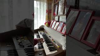 My Elusive Dreams (Piano Cover)