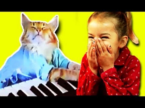 KIDS REACT to Keyboard Cat