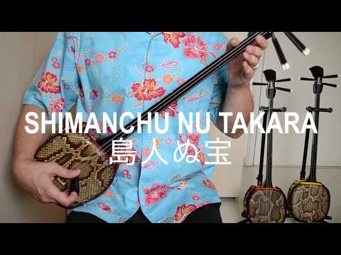 SHIMANCHU NU TAKARA - 島人ぬ宝- Okinawa Sanshin Cover (Begin)