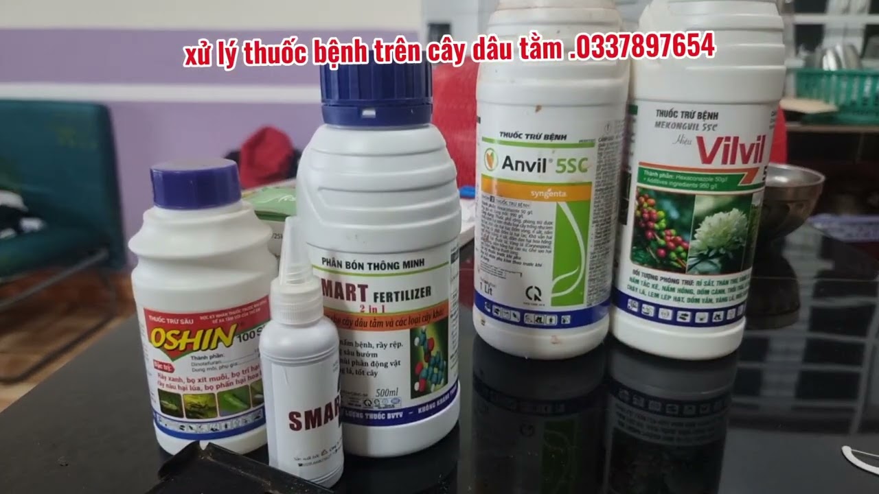 Kỹ thuật trồng dâu nuôi tằm - xử lý xịt thuốc bệnh cho dâu.033 789 7654.h mến chào cả nhà....