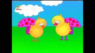 BabyTV Little Chick The Garden Incomplete