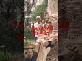 Thành tâm bái phật cho tâm mình an nhiên