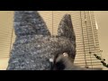 目がしょぼしょぼします