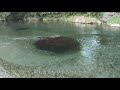 この町に生まれて