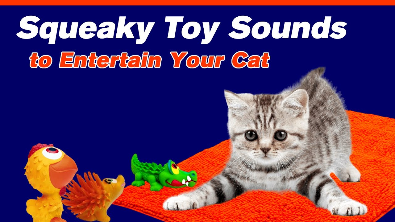 Squeaky Toy Sounds To Entertain Your