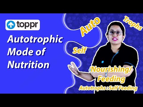 Vídeo: Como os Autotrophs fazem sua comida?