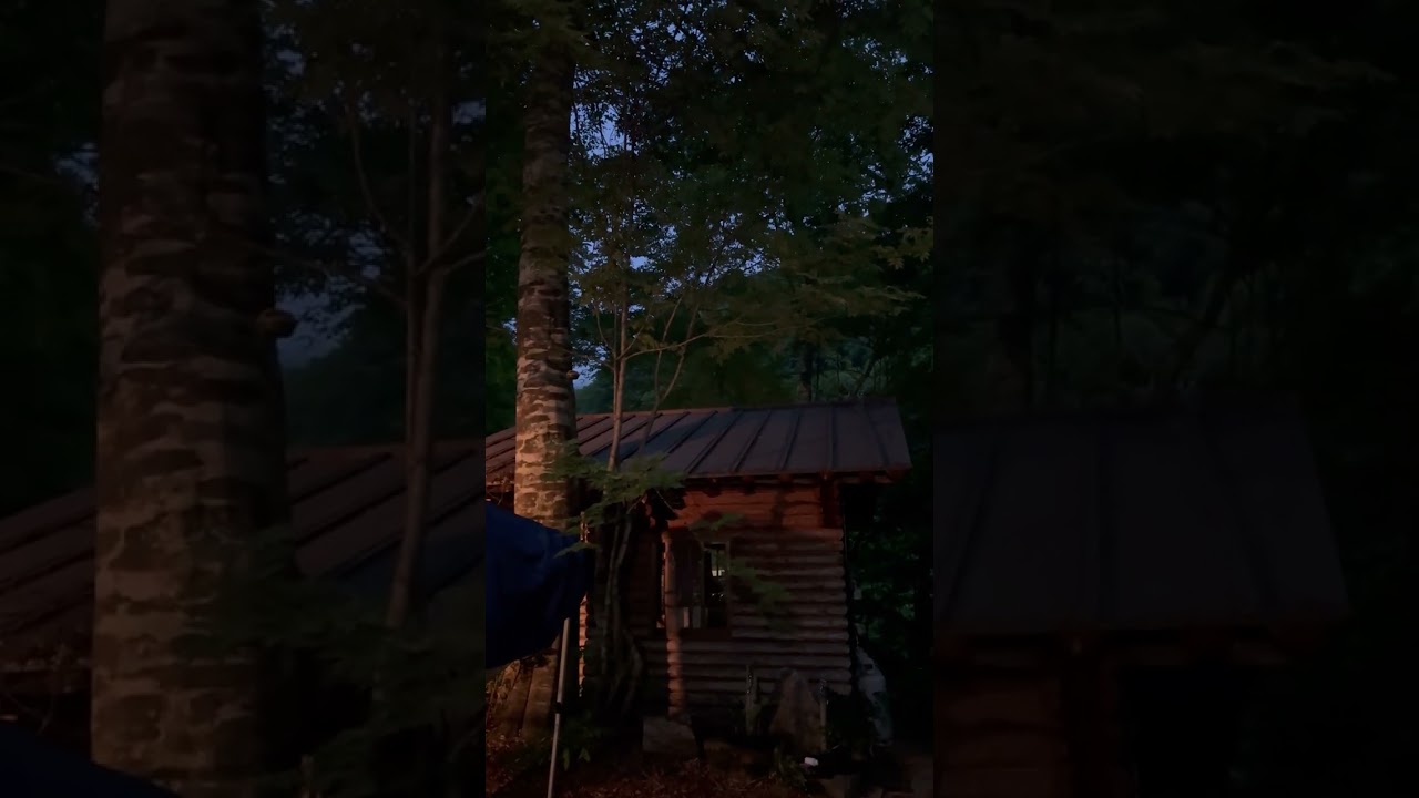 0528 04:32冷たい雨でも鳴いてました。