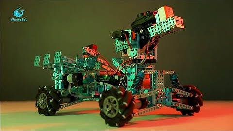 WhalesBot: The all-terrain robot that lets kids code like a pro!