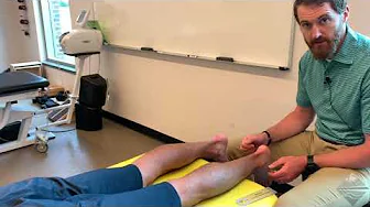 Foot & Ankle: Overview of ROM Assessment