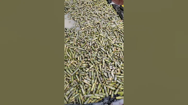 Supercane Nursery model #farming