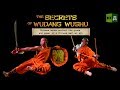 The Secrets of Wudang Wushu: Chinese Monks Perfect The Grace and Power of a Chinese Martial Art
