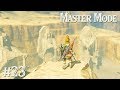 THE SEVEN HEROINES: Zelda BotW MASTER MODE #23