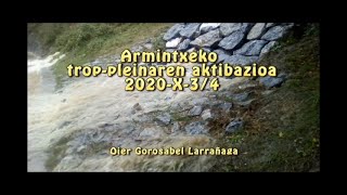 Uholdeak Armintxeko kobazuloan, 201003