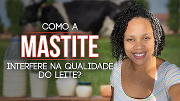 Como a mastite influencia na qualidade do leite?