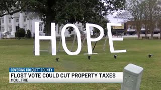Floating Local Option Sales Tax referendum appears on Nov. 4 ballot in many SGA counties, includi...