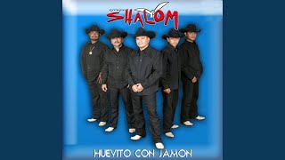 Video thumbnail of "Grupo Shalom - Amor Fingido"