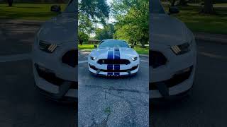 Spoiler swap..    #gta#automobile#gt350#gt500#ford