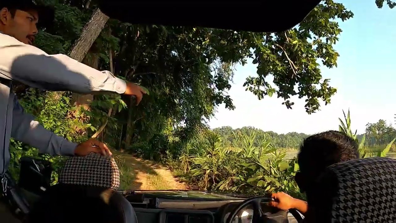 Searching for tigers - the sights, the sounds and close encounters in Chitwan National Park