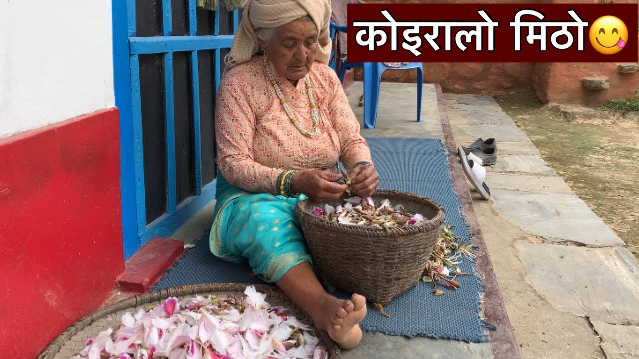 Nepali Rural Community Village life Nepal || Rural Life in Nepal || Nepali Mountain Village ...