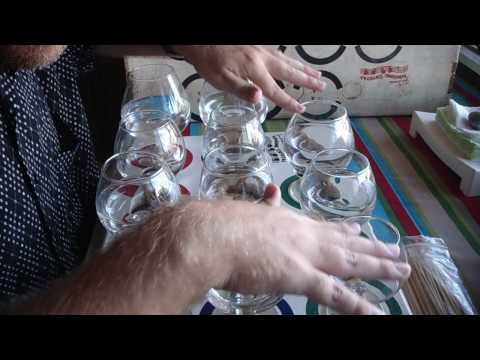 Jim Turner's Singing Crystal Musical Glasses