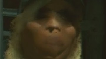 Cyperpunk 2077 Is A Perfect Game With No Bugs