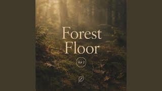 Underfoot