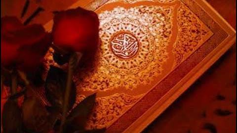 القرآن الكريم بصوت البراء عويد