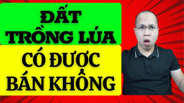 Đất trồng lúa có được chuyển nhượng không. Mua bán đất nông nghiệp
