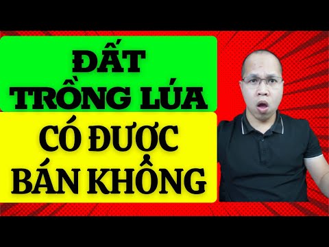 Video Đất trồng lúa có được chuyển nhượng không. Mua bán đất... - YouTube