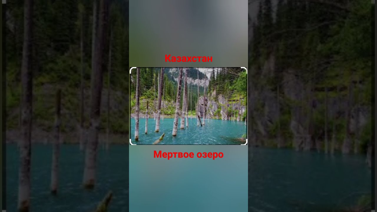 Мертвое Озеро Купить Книгу