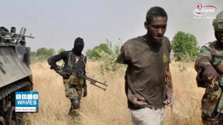 Dozens of Chibok girls abducted by Boko Haram released