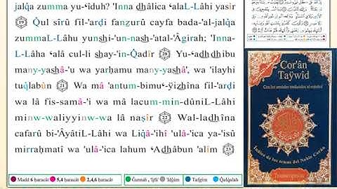 ختمة من مصحف التجويد باللغة الإسبانية الصفحة رقم 398