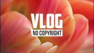 Tinkan - Play With Fire [No Copyright Music]